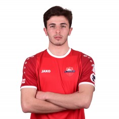 თორნიკე ძებნიაური